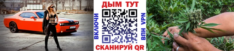 Конопля сатива  Купить закладки  Аткарск 